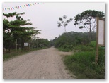 imga0261.jpg