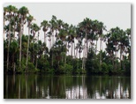 tambopata_puerto_maldonado407.jpg