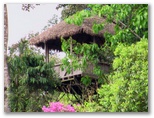 tambopata_puerto_maldonado417.jpg