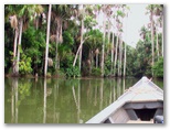 tambopata_puerto_maldonado422.jpg