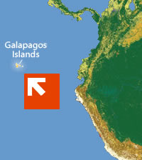 Galapagos 2010