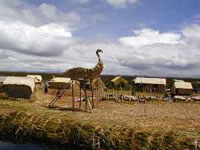 Una interesante escultura hecha íntegramente en totora por los indios Uros.