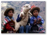 machu_picchu_guia4x4_1092.jpg
