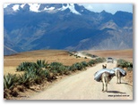machu_picchu_guia4x4_1119.jpg