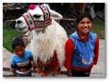 machu_picchu_guia4x4_1139.jpg