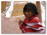 machu_picchu_guia4x4_1184.jpg