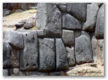 machu_picchu_guia4x4_1207.jpg