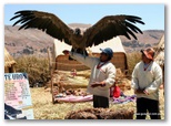 machu_picchu_guia4x4_1233.jpg