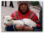 machu_picchu_guia4x4_1237.jpg