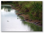guia4x4_pantanal2008_101.jpg