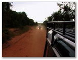 guia4x4_pantanal2008_125.jpg