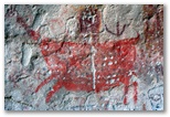 catamarca_salta_puna_549.jpg