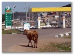 rusia_mongolia_china_guia4x4_523.jpg