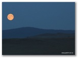 rusia_mongolia_china_guia4x4_539.jpg