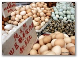 rusia_mongolia_china_guia4x4_668.jpg